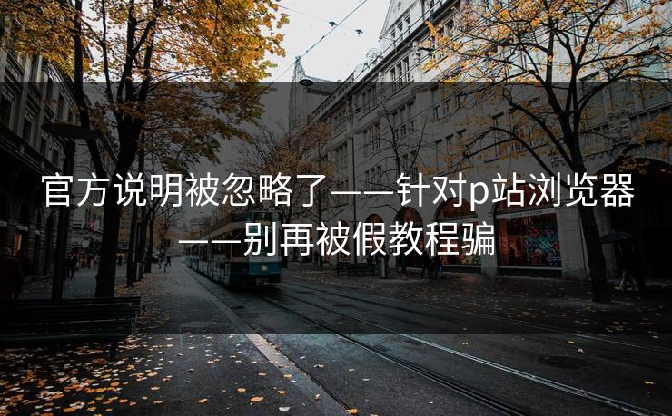 官方说明被忽略了——针对p站浏览器——别再被假教程骗