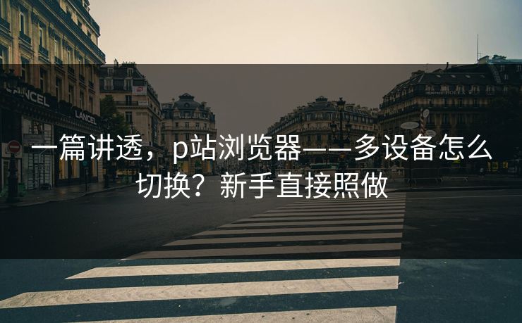一篇讲透，p站浏览器——多设备怎么切换？新手直接照做