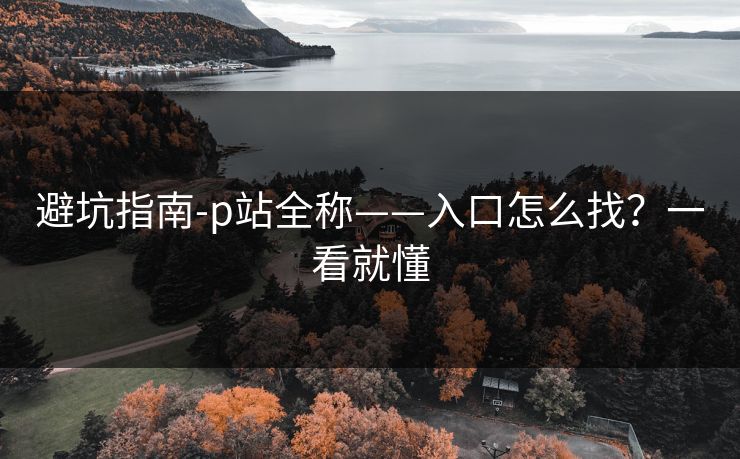 避坑指南-p站全称——入口怎么找？一看就懂