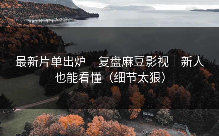 最新片单出炉|复盘麻豆影视|新人也能看懂(细节太狠) 最新片单出炉|复盘麻豆影视|新人也能看懂(细节太狠)