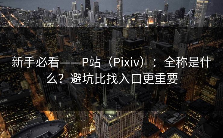 新手必看——P站（Pixiv）：全称是什么？避坑比找入口更重要