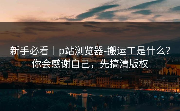 新手必看｜p站浏览器-搬运工是什么？你会感谢自己，先搞清版权