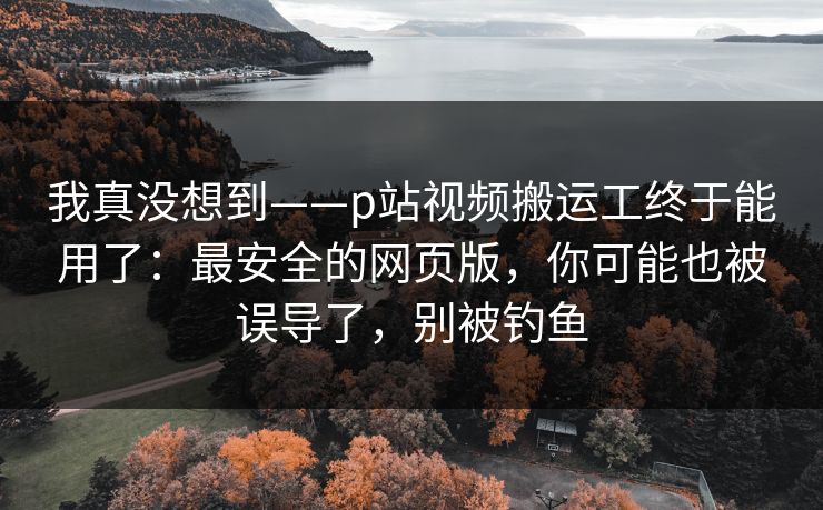 我真没想到——p站视频搬运工终于能用了：最安全的网页版，你可能也被误导了，别被钓鱼
