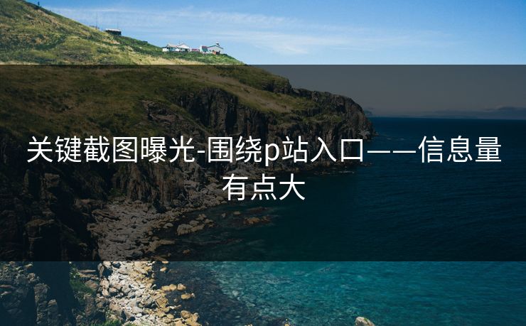 关键截图曝光-围绕p站入口——信息量有点大