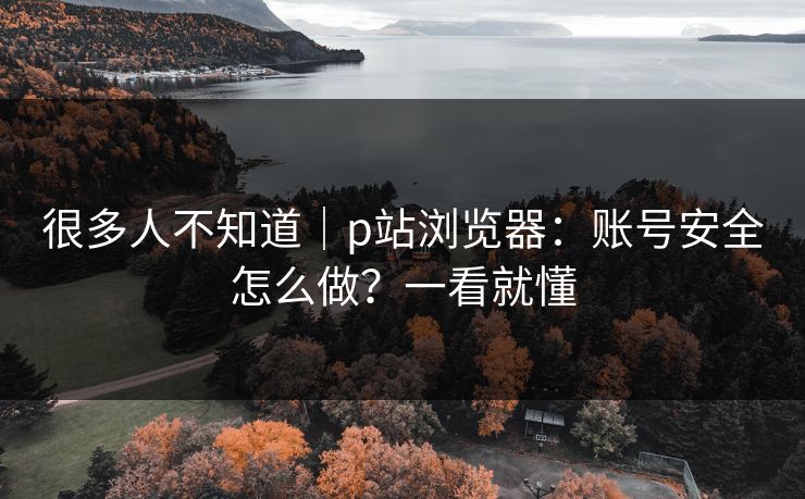 很多人不知道|p站浏览器:账号安全怎么做?一看就懂