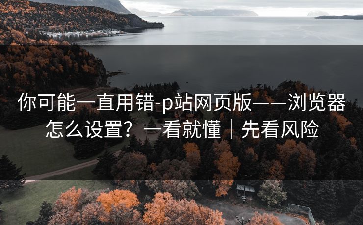 你可能一直用错-p站网页版——浏览器怎么设置？一看就懂｜先看风险