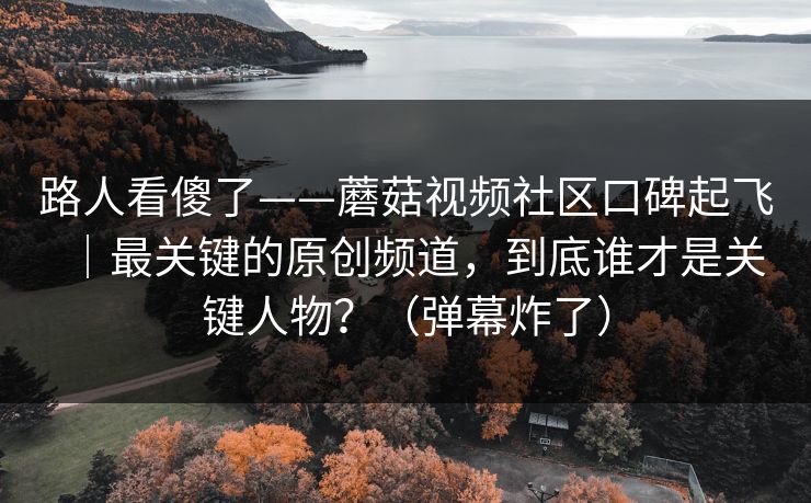 路人看傻了——蘑菇视频社区口碑起飞｜最关键的原创频道，到底谁才是关键人物？（弹幕炸了）