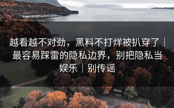 越看越不对劲，黑料不打烊被扒穿了｜最容易踩雷的隐私边界，别把隐私当娱乐｜别传谣