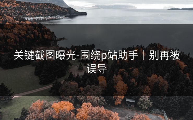 关键截图曝光-围绕p站助手｜别再被误导