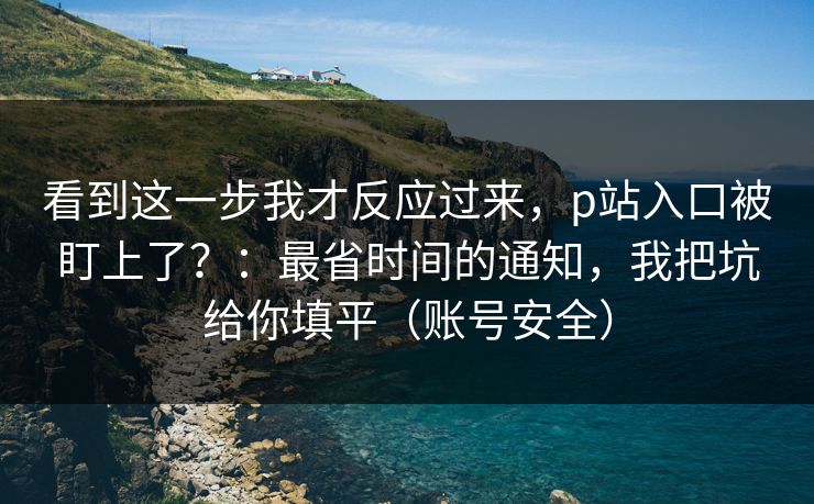 看到这一步我才反应过来，p站入口被盯上了？：最省时间的通知，我把坑给你填平（账号安全）