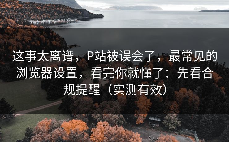 这事太离谱，P站被误会了，最常见的浏览器设置，看完你就懂了：先看合规提醒（实测有效）