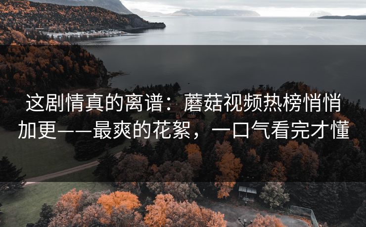 这剧情真的离谱：蘑菇视频热榜悄悄加更——最爽的花絮，一口气看完才懂