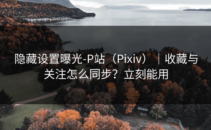 隐藏设置曝光-P站（Pixiv）｜收藏与关注怎么同步？立刻能用
