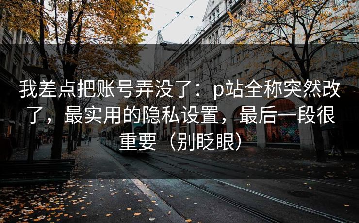 我差点把账号弄没了：p站全称突然改了，最实用的隐私设置，最后一段很重要（别眨眼）