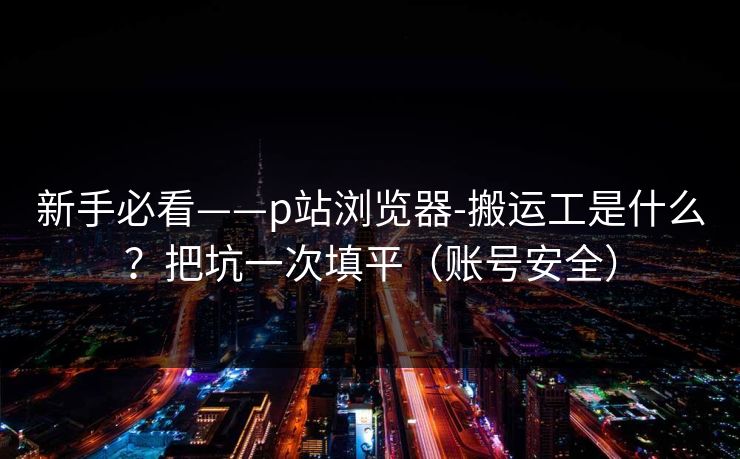 新手必看——p站浏览器-搬运工是什么？把坑一次填平（账号安全）